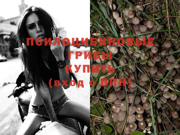 марки nbome Баксан