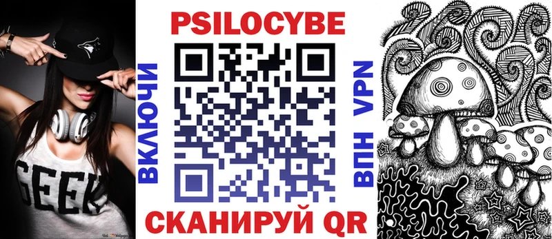 Купить закладки  Палласовка  Псилоцибиновые грибы мухоморы 